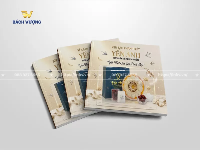 mẫu catalogue yến s&agrave;o sang trọng kết hợp hiệu ứng &aacute;nh s&aacute;ng lấp l&aacute;nh v&agrave; dải ruy băng lụa với điểm nhấn l&agrave; h&igrave;nh ảnh bộ sản phẩm qu&agrave; tặng ho&agrave;n chỉnh c&ugrave;ng c&aacute;c nguy&ecirc;n liệu thực tế