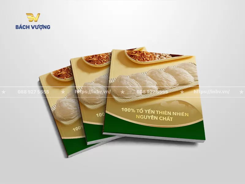 mẫu catalogue yến s&agrave;o thiết kế tone v&agrave;ng phối xanh l&aacute; giới thiệu tổ yến thi&ecirc;n nhi&ecirc;n nguy&ecirc;n chất