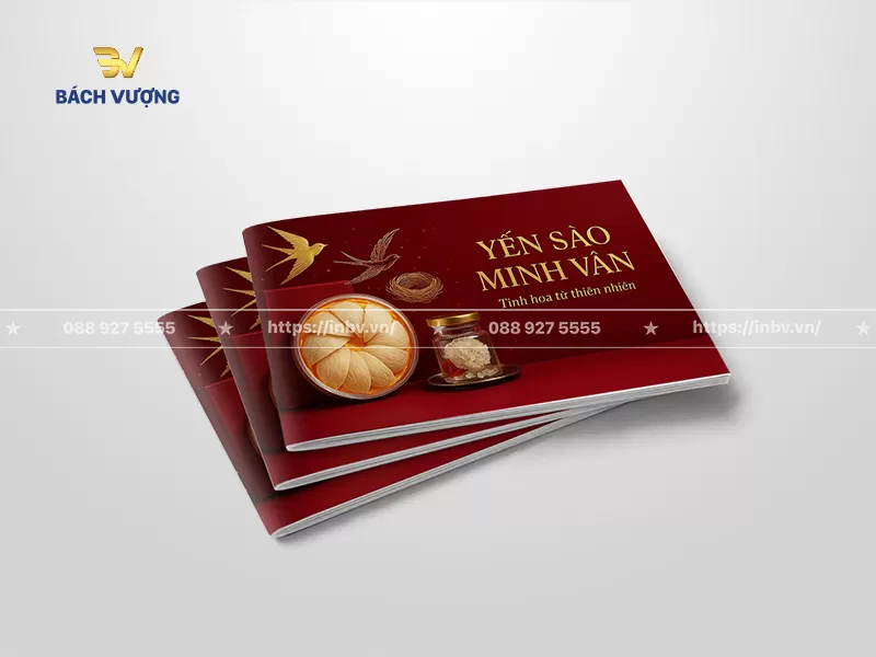 mẫu catalogue yến s&agrave;o tone đỏ rượu giới thiệu sản phẩm