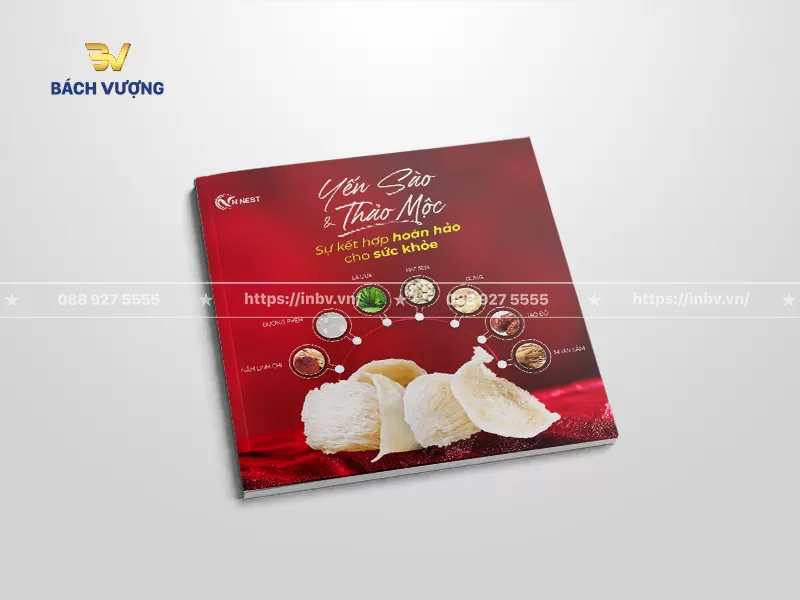 mẫu catalogue yến s&agrave;o tone nhung đỏ sang trọng, qu&yacute; ph&aacute;i sử dụng c&aacute;c đường nối để giới thiệu c&aacute;c nguy&ecirc;n liệu thảo mộc đi k&egrave;m