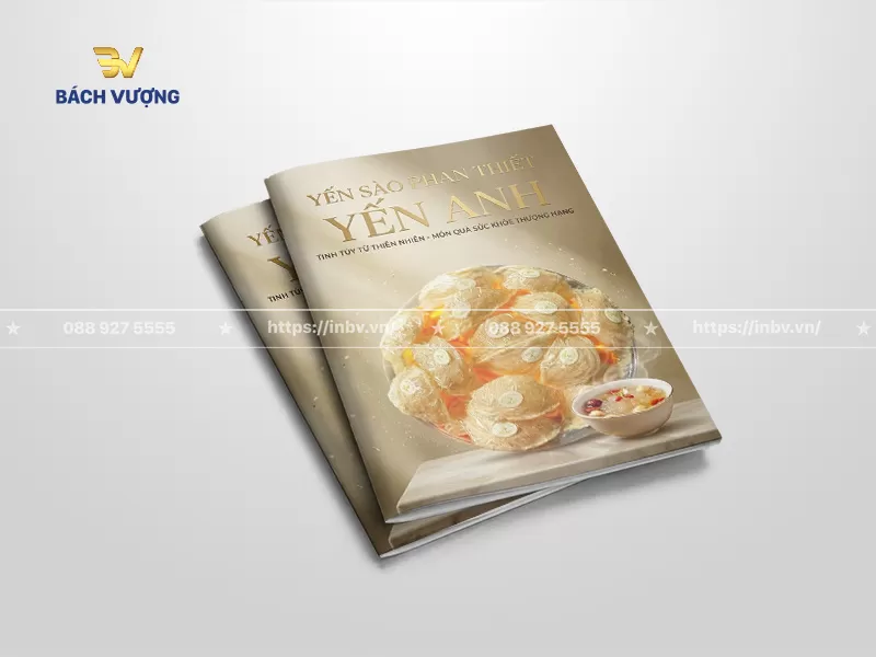 mẫu catalogue yến s&agrave;o tone v&agrave;ng ho&agrave;ng kim, tập trung v&agrave;o xuất xứ đặc trưng & ph&acirc;n kh&uacute;c sản phẩm qu&agrave; tặng sức khỏe thượng hạng