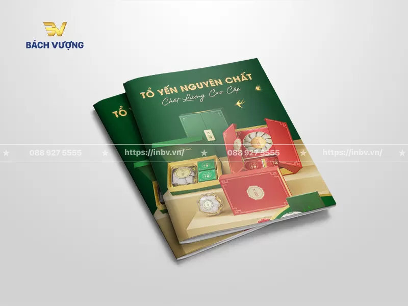 mẫu catalogue yến s&agrave;o tone xanh lục bảo kết hợp bộ qu&agrave; tặng đa sắc thượng hạng