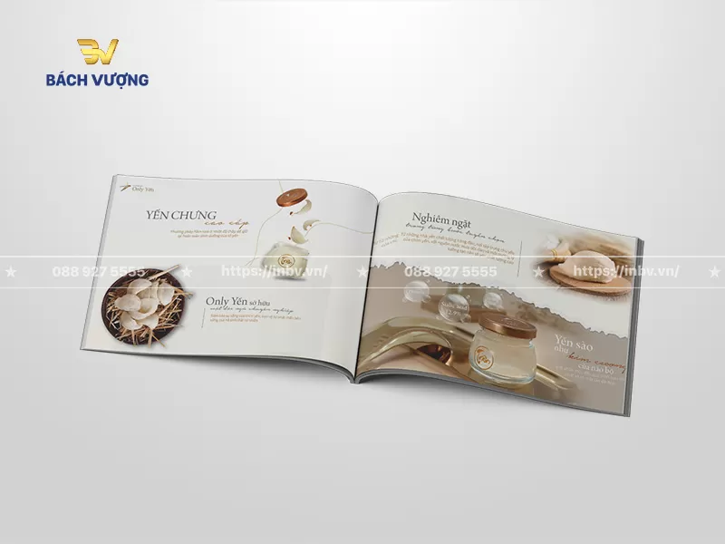 Thiết kế trang nội dung mẫu catalogue yến s&agrave;o giới thiệu sản phẩm với h&igrave;nh ảnh thực tế từng c&ocirc;ng đoạn chế biến v&agrave; nội dung quy tr&igrave;nh tuyển chọn