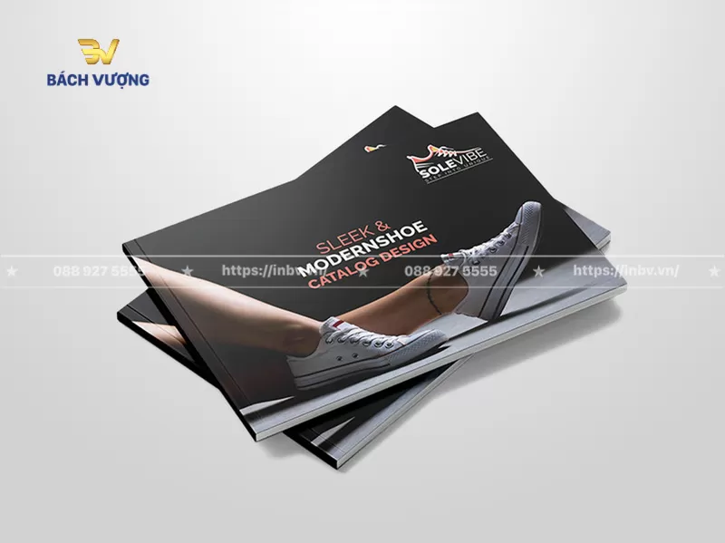 Mẫu catalogue sản phẩm gi&agrave;y thể thao
