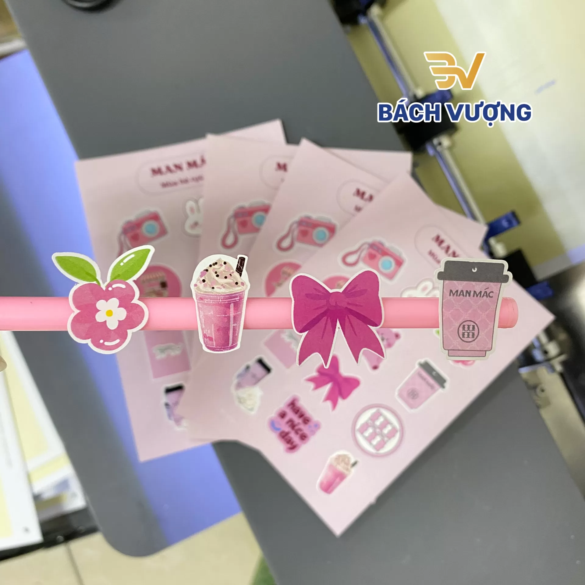 Dịch vụ in sticker - B&aacute;ch Vượng
