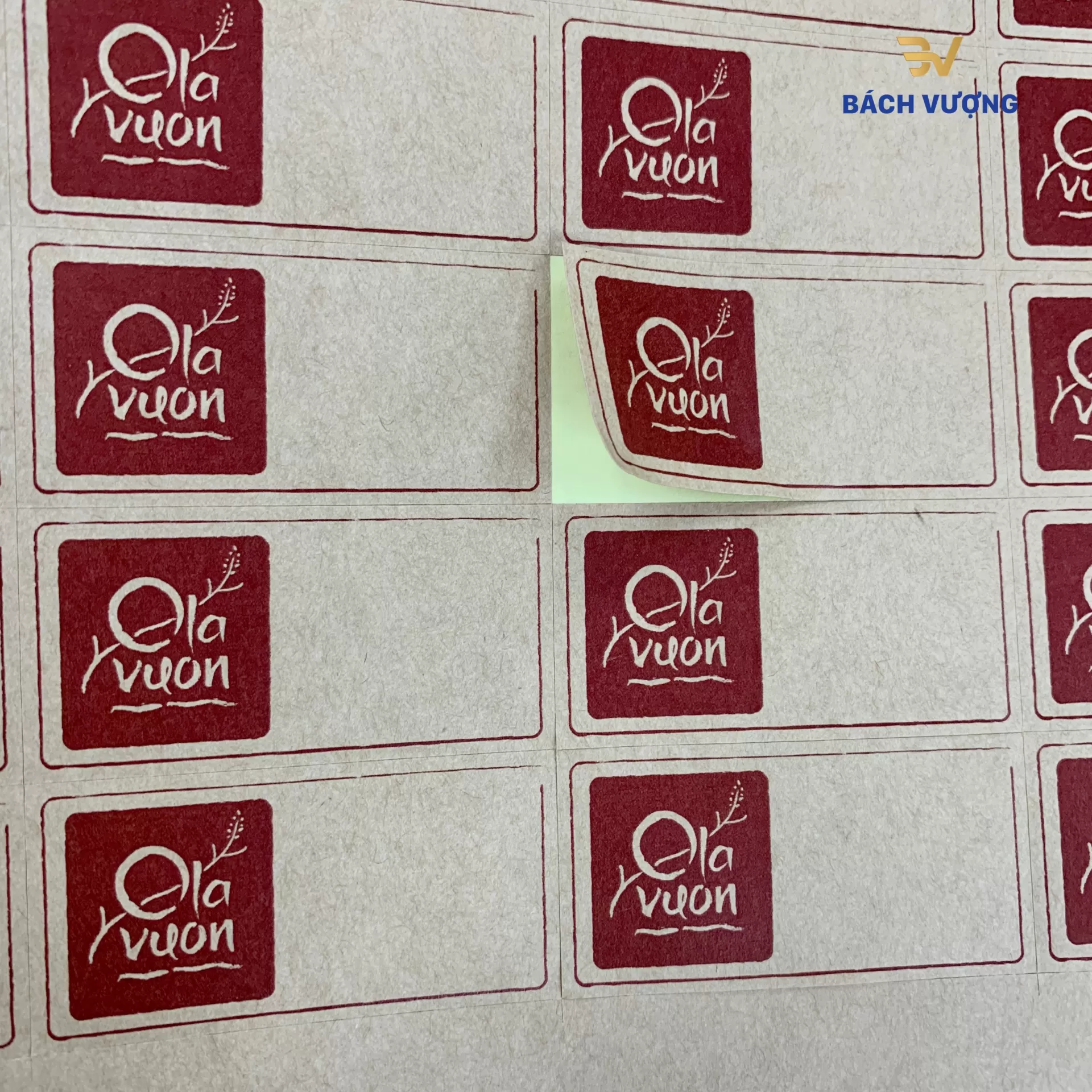C&aacute;c mẫu decal giấy kraft tại B&aacute;ch Vượng