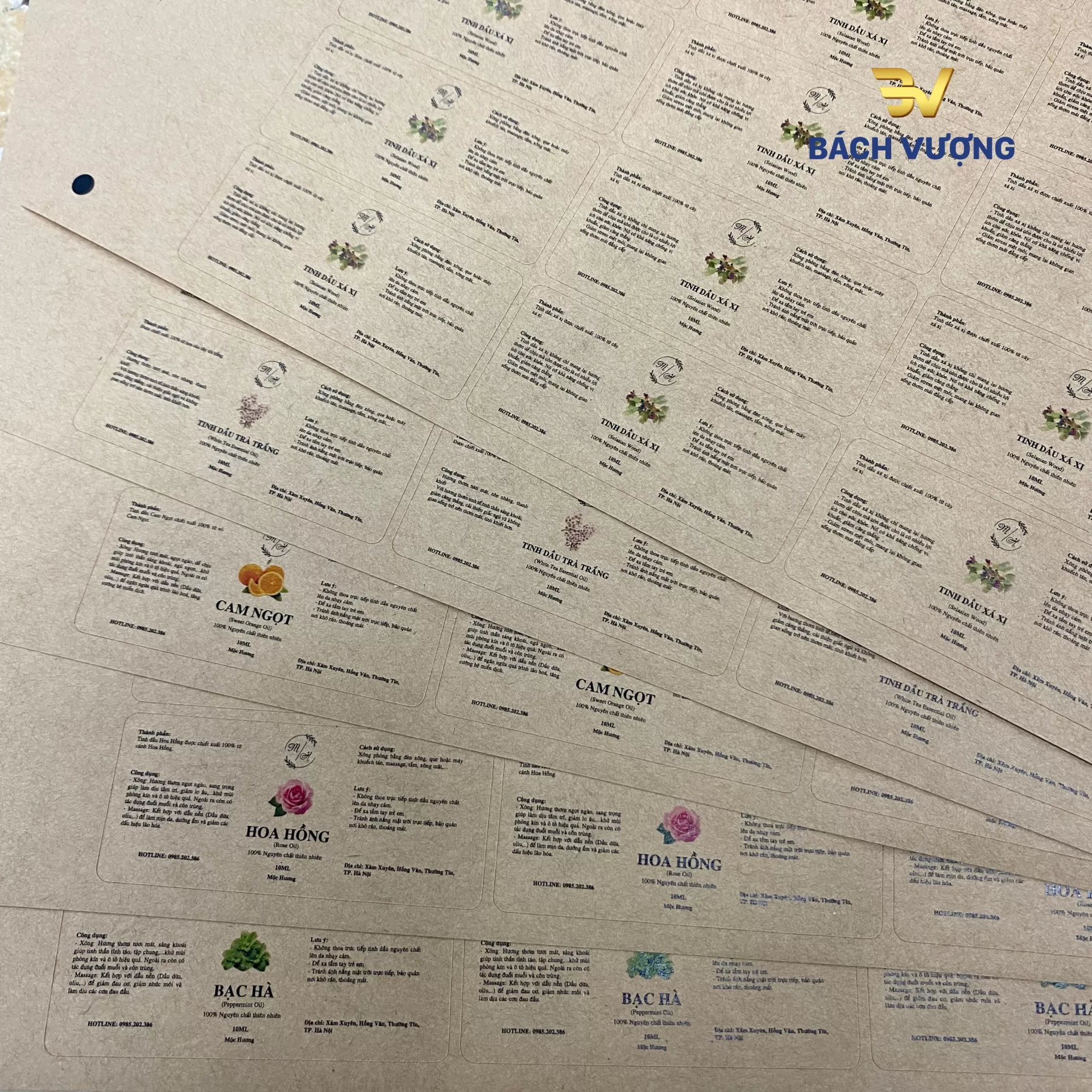 Giải ph&aacute;p in tem nh&atilde;n to&agrave;n diện - B&aacute;ch Vượng