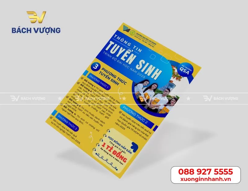  Tổng hợp [10+] mẫu tờ rơi tờ gấp tham khảo tại B&aacute;ch Vượng