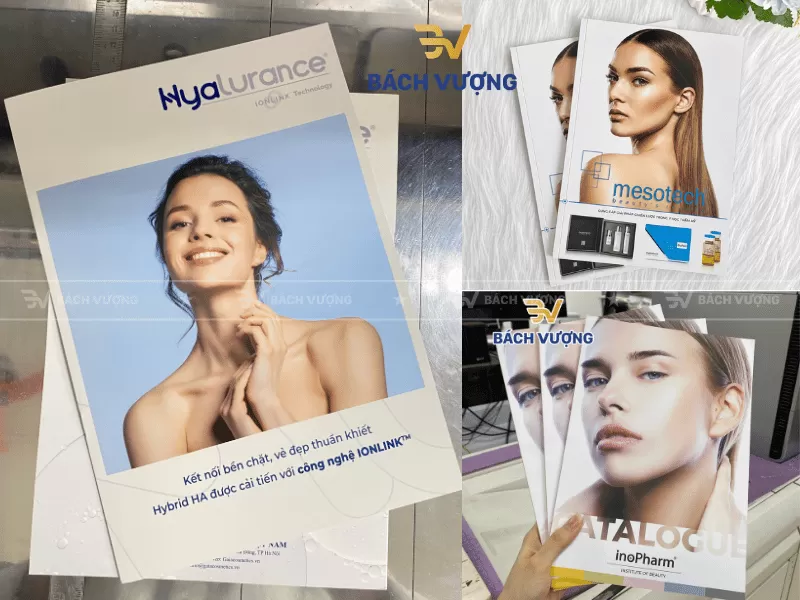 In catalogue - B&aacute;ch Vượng