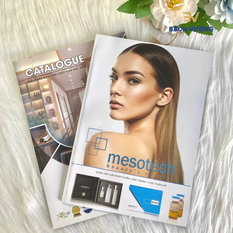 Chất liệu v&agrave; định lượng ruột giấy Catalogue - B&aacute;ch Vượng