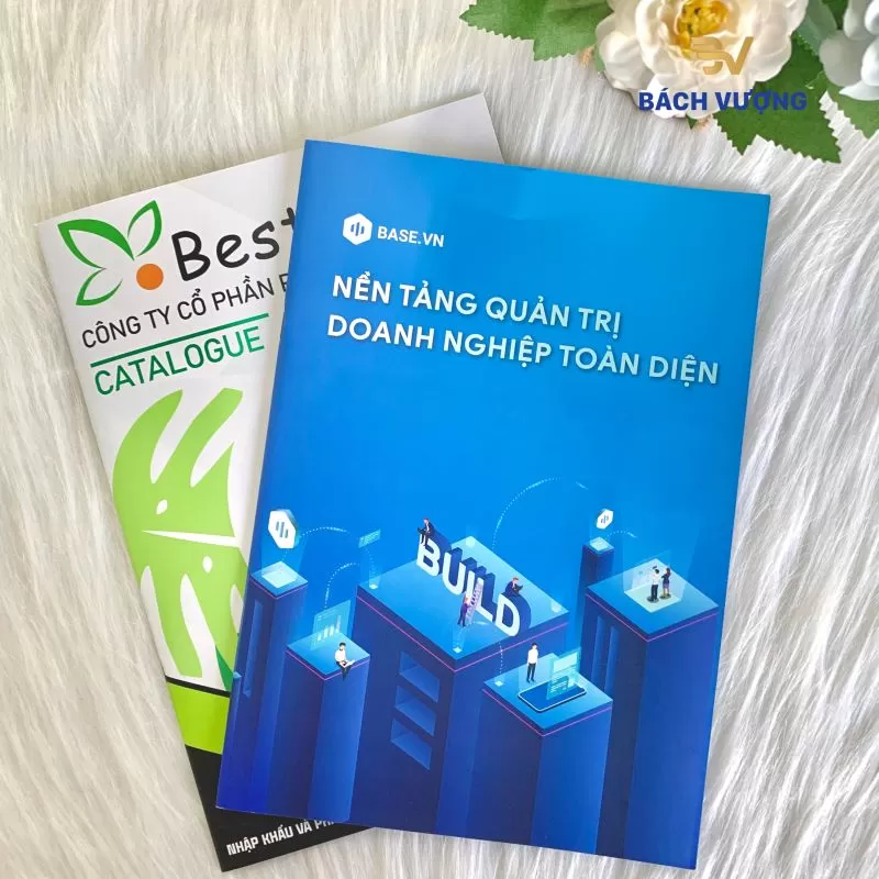 Chất liệu v&agrave; định lượng giấy ruột Catalogue - B&aacute;ch Vượng