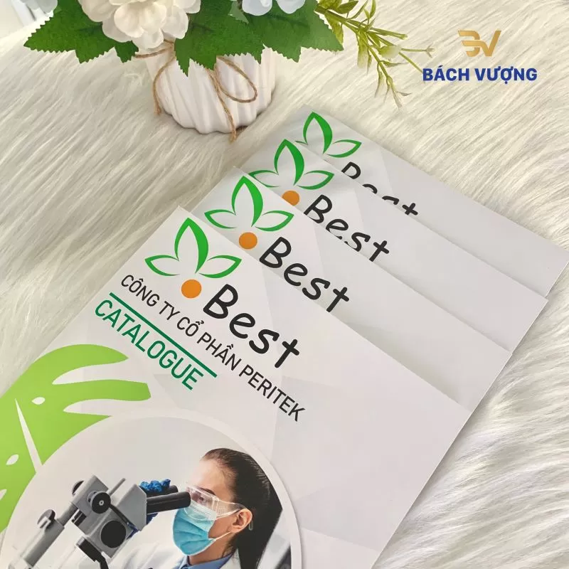 B&iacute; k&iacute;p chọn chất liệu v&agrave; định lượng giấy ruột Catalogue cho từng ng&agrave;nh nghề