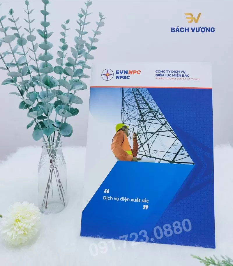 Chất liệu v&agrave; định lượng ruột giấy Catalogue - B&aacute;ch Vượng