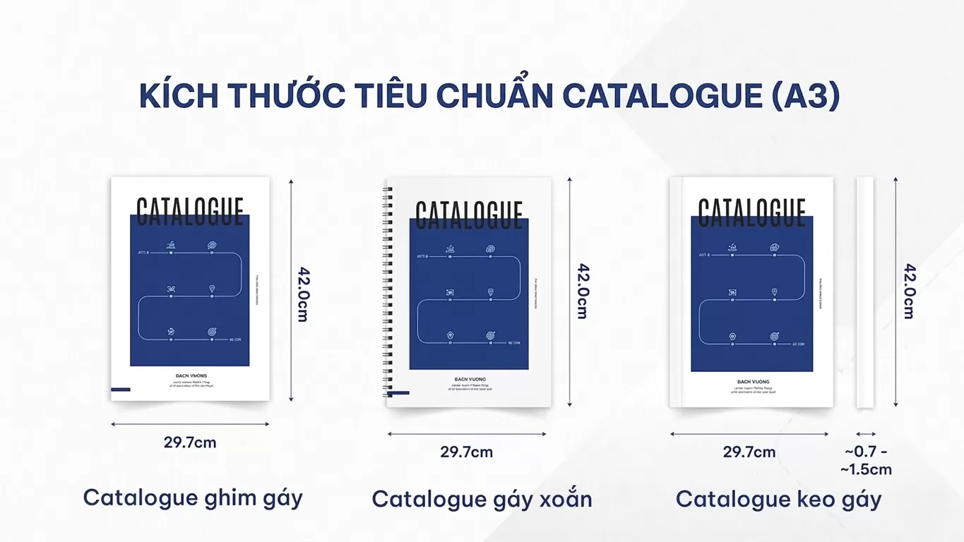 K&iacute;ch thước catalogue A3 chuẩn