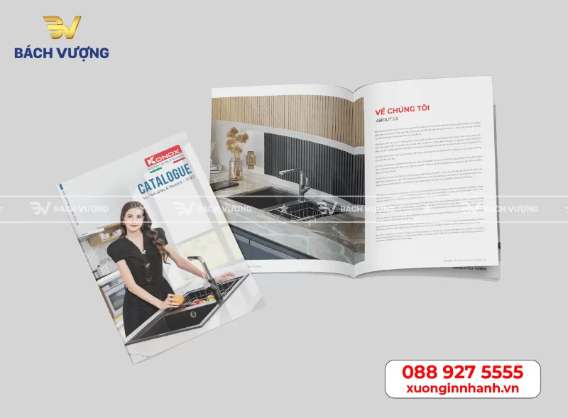 B&aacute;ch Vượng - địa chỉ in catalogue gi&aacute; rẻ tại H&agrave; Nội