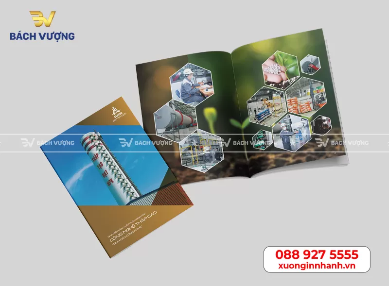 Bố cục trình bày trong thiết kế catalogue - Bách Vượng
