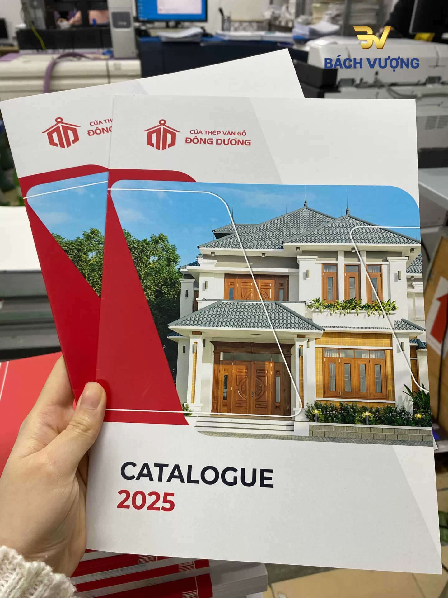 Mẫu in catalogue giới thiệu cửa th&eacute;p v&acirc;n gỗ