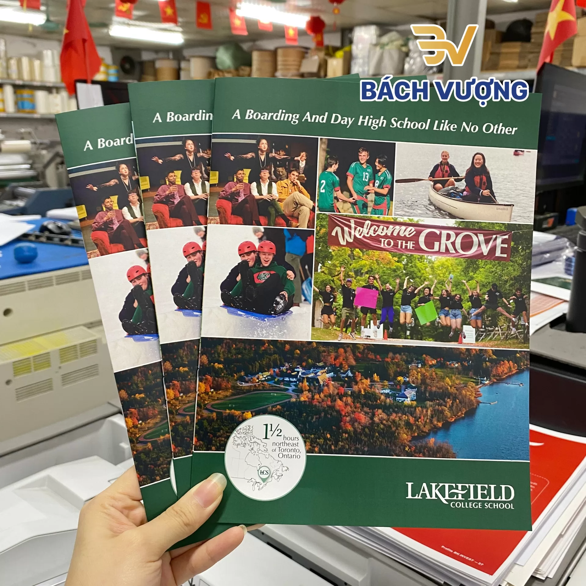 Mẫu in catalogue giới thiệu trường học 