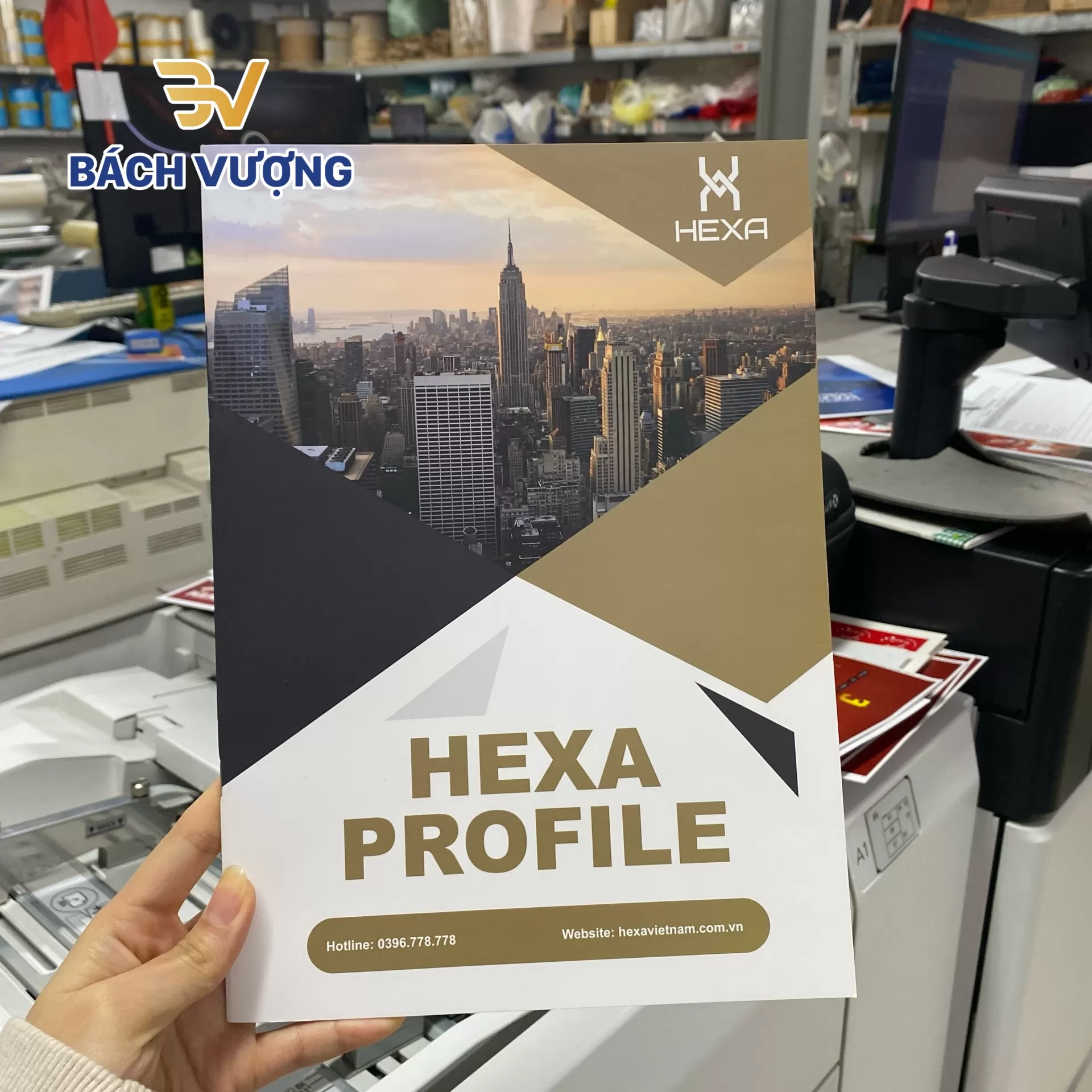 Mẫu in catalogue thay thế hồ sơ năng lực Hexa Việt Nam