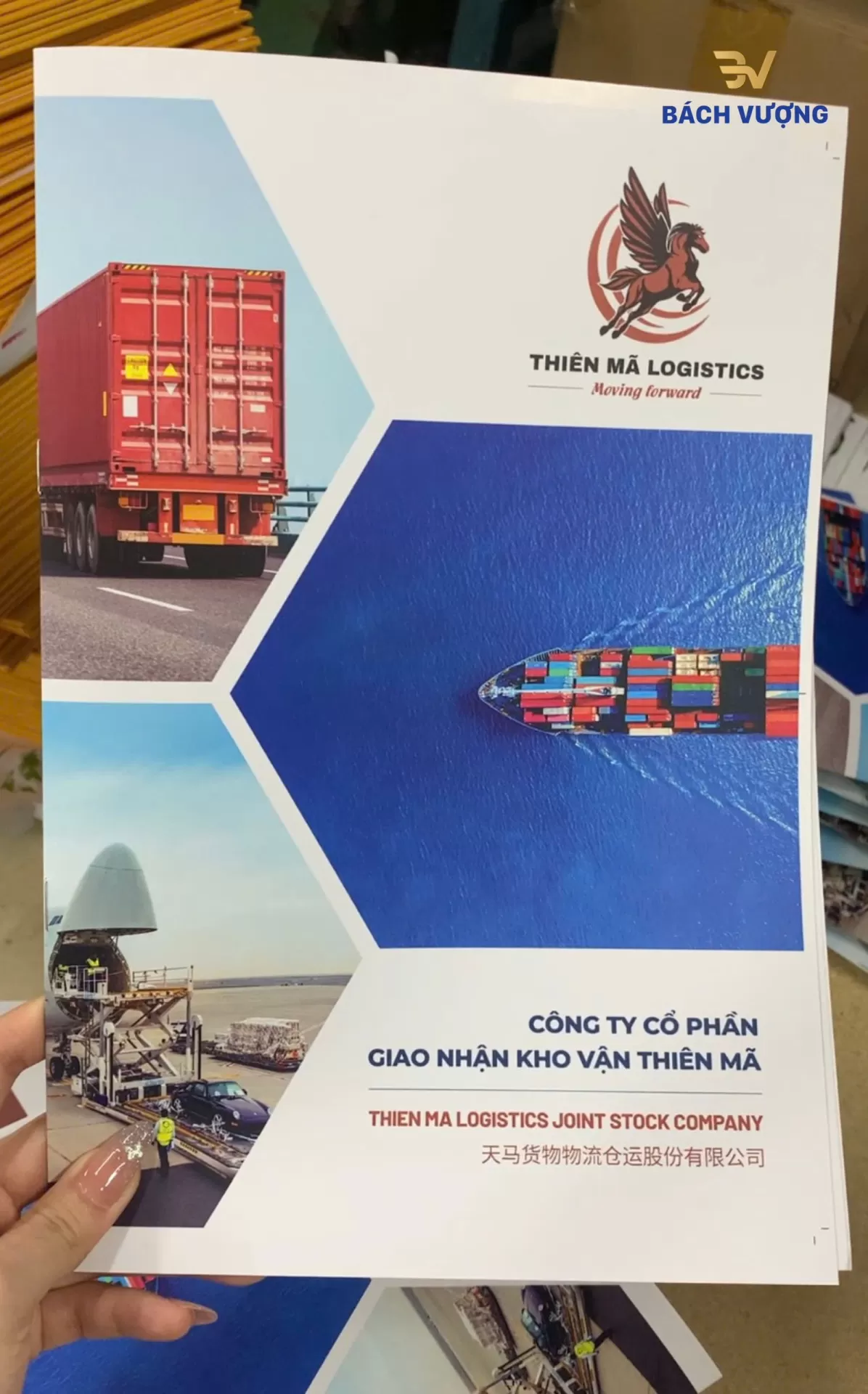 Mẫu in catalogue lĩnh vực giao nhận v&agrave; kho vận 