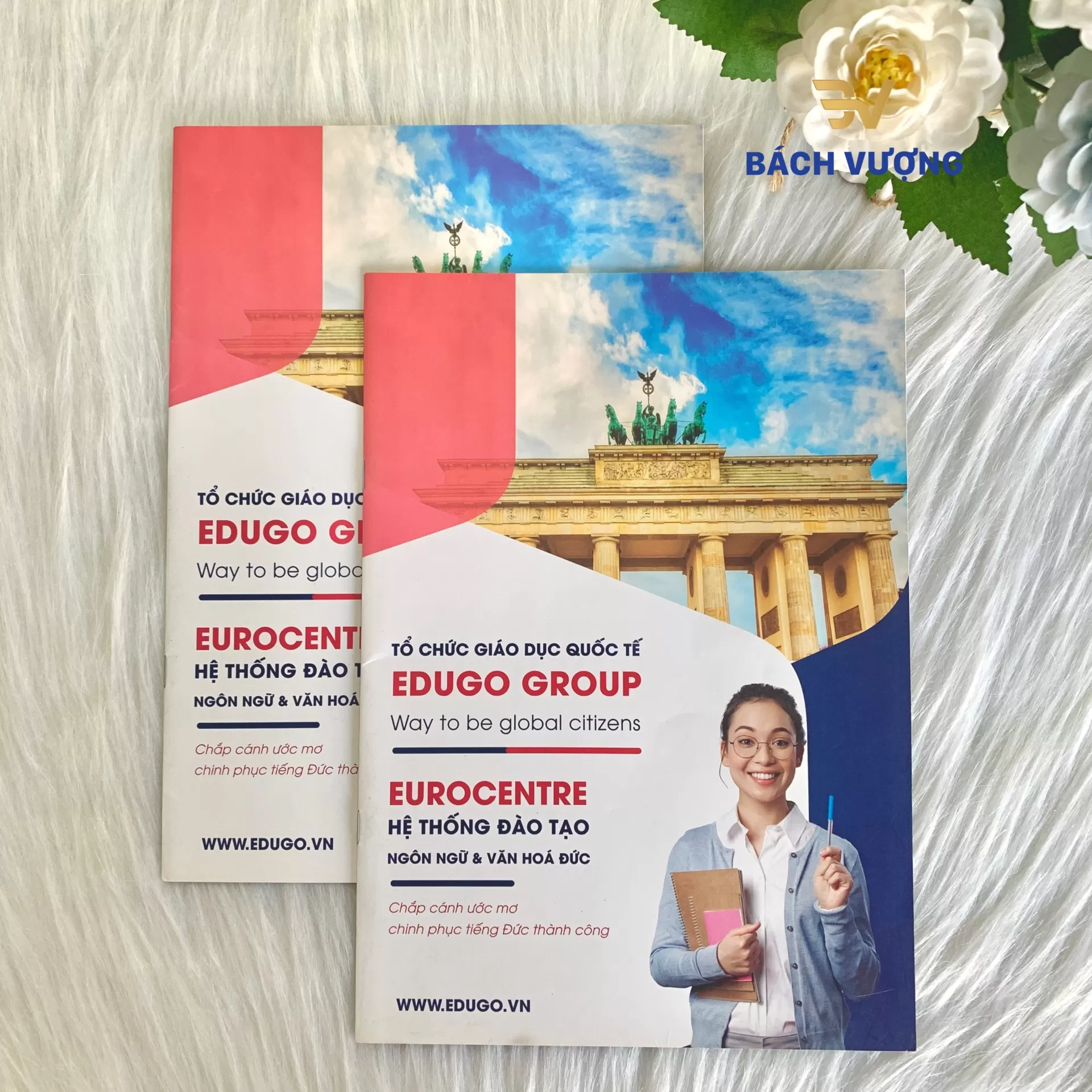 Mẫu in catalogue tổ chức gi&aacute;o dục 