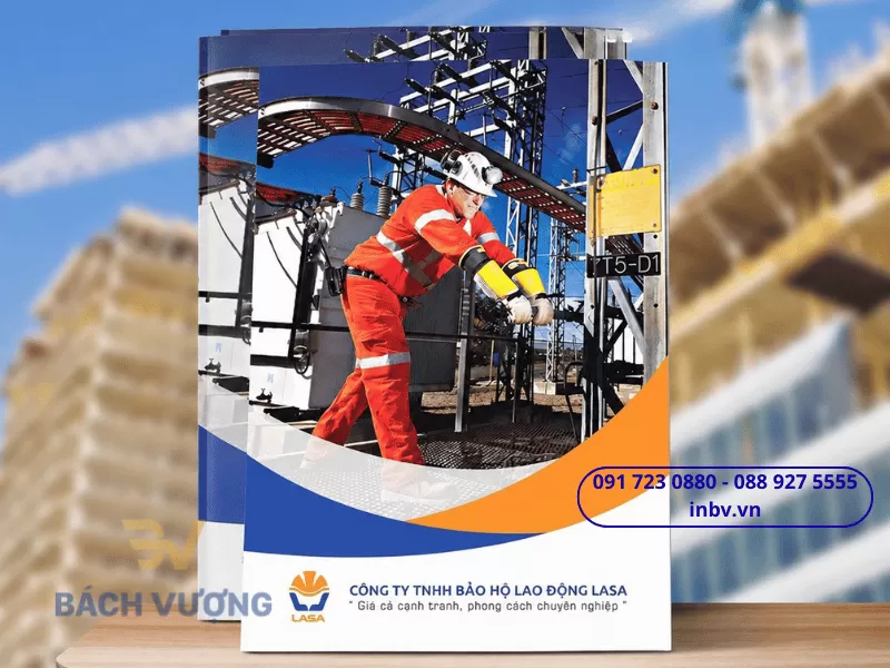 In catalogue - B&aacute;ch Vượng