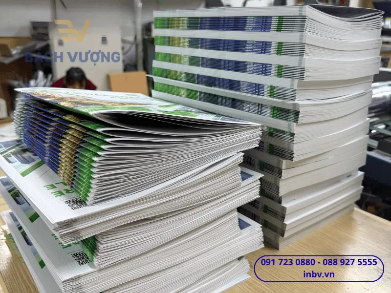 In catalogue - B&aacute;ch Vượng
