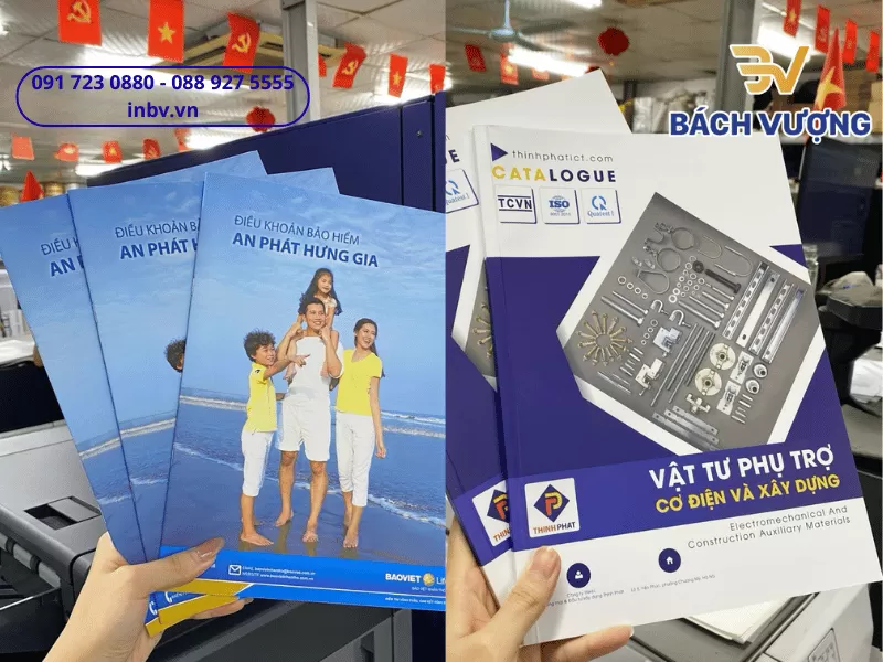 In catalogue - B&aacute;ch Vượng