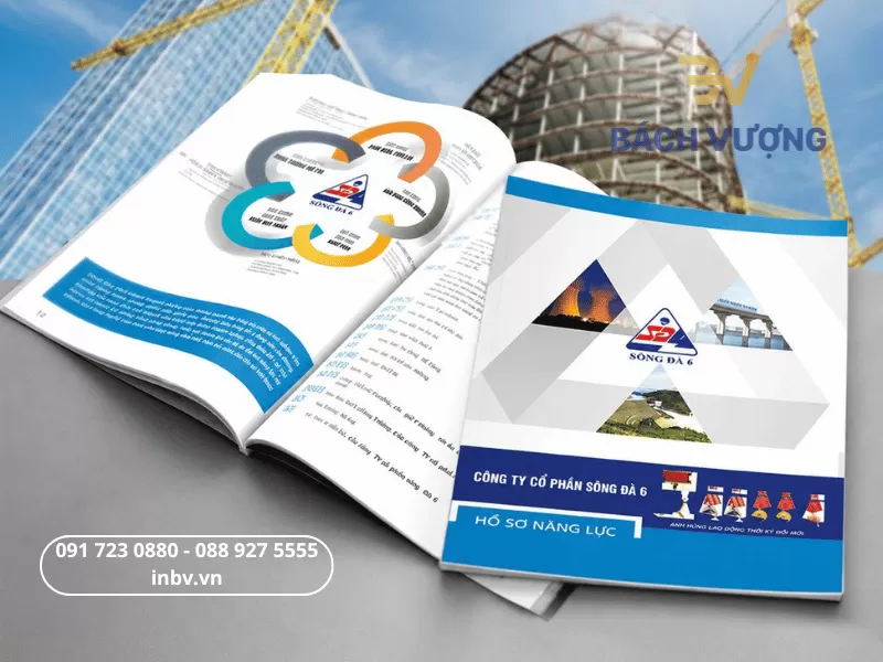 In catalogue - B&aacute;ch Vượng