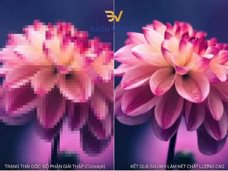 Những lỗi sai kinh điển khi thiết kế và in card visit - Bách Vượng
