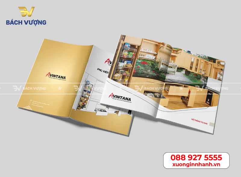 Những th&agrave;nh phần cơ bản của một bản thiết kế catalogue