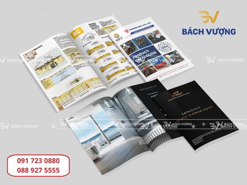 Giải đáp: Lý do số trang catalogue cần chia hết cho 4