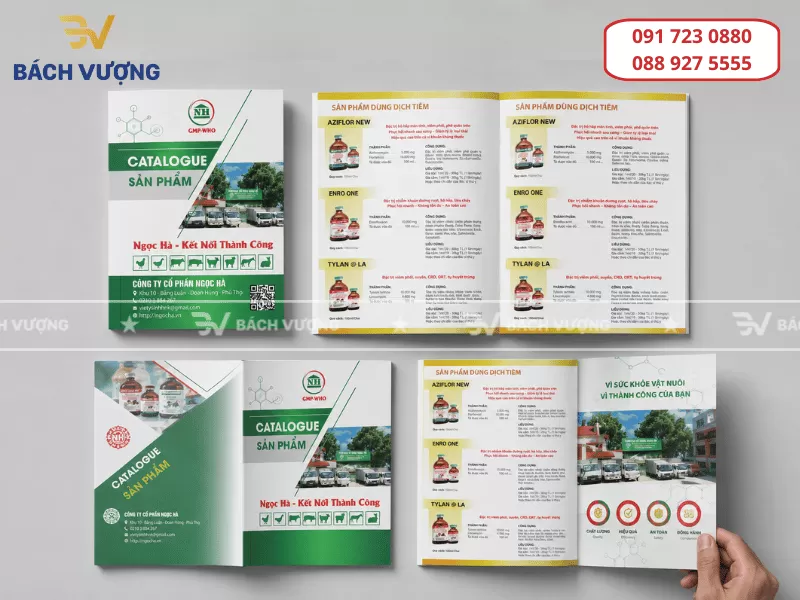 Giải đáp: Lý do số trang catalogue cần chia hết cho 4
