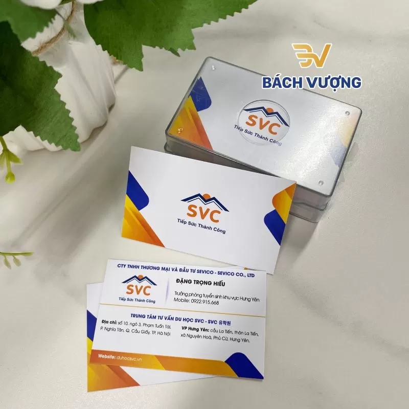 In danh thiếp, card visit - B&aacute;ch Vượng
