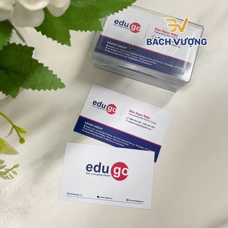 In danh thiếp, card visit - B&aacute;ch Vượng