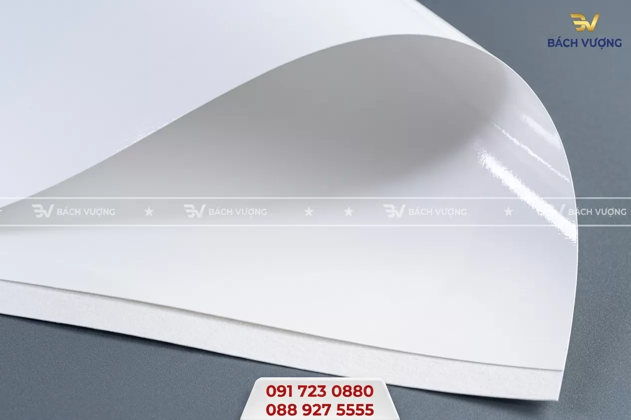 Giấy Bristol chuy&ecirc;n in Catalogue