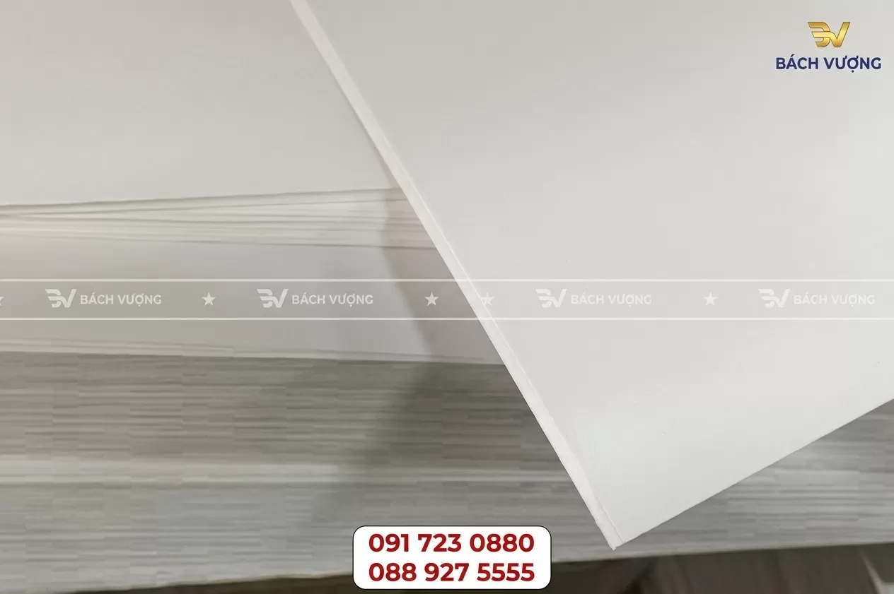 Giấy Ivory chuy&ecirc;n in Catalogue