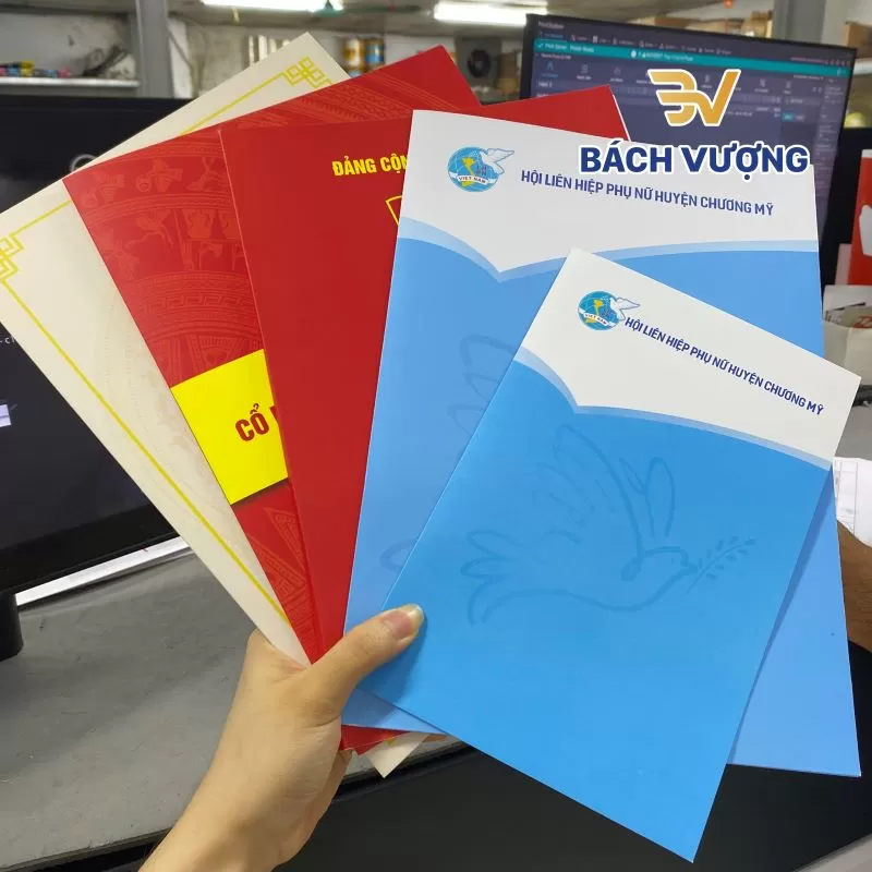 Chất liệu in kẹp file thông dụng - Bách Vượng