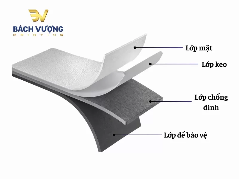 Mặt cắt cấu tạo tem decal giấy