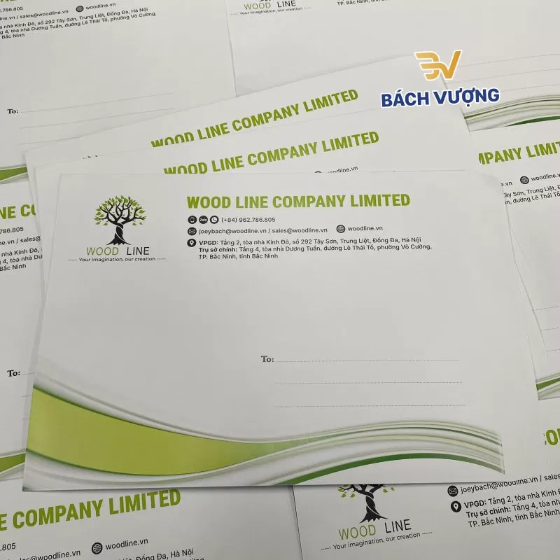 Mẫu phong b&igrave; đựng hồ sơ (phong b&igrave; khổ A4) tại B&aacute;ch Vượng