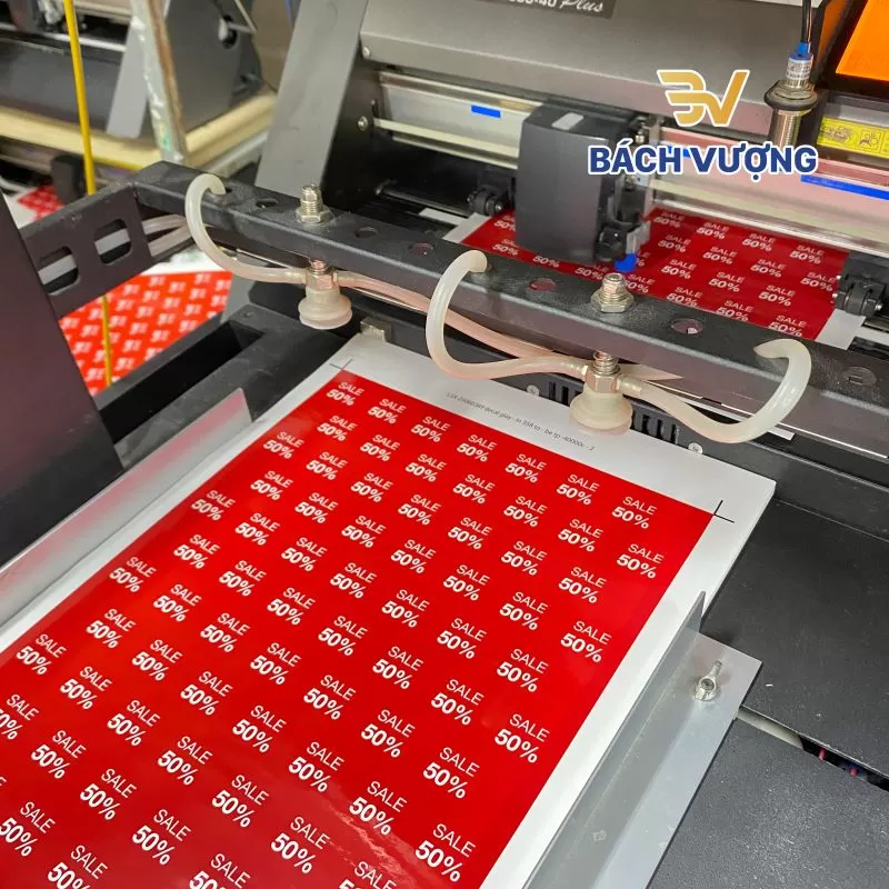 In sticker theo y&ecirc;u cầu tại B&aacute;ch Vượng