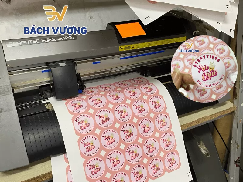 Sticker dạng tấm hay sticker cắt rời? N&ecirc;n chọn thế n&agrave;o?