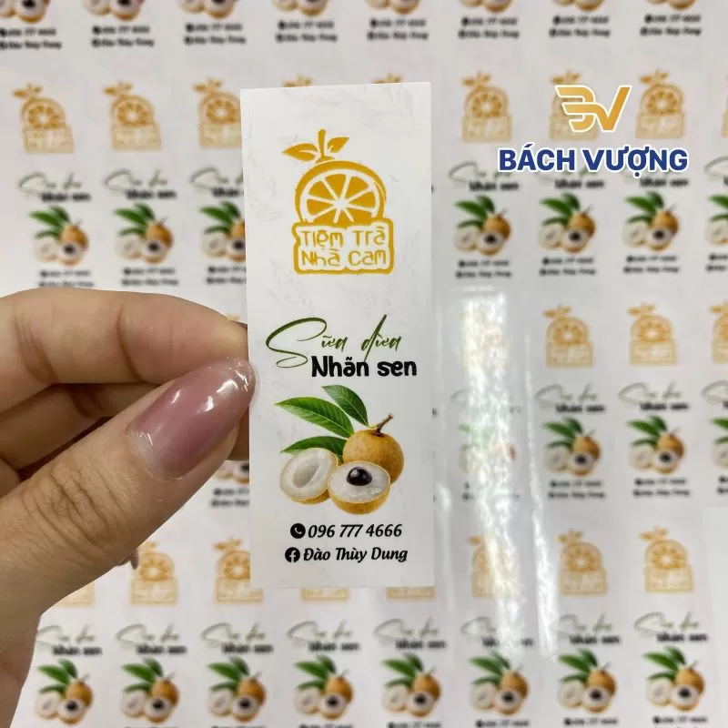 Tem nhãn cho sản phẩm đông lạnh - Bách Vượng