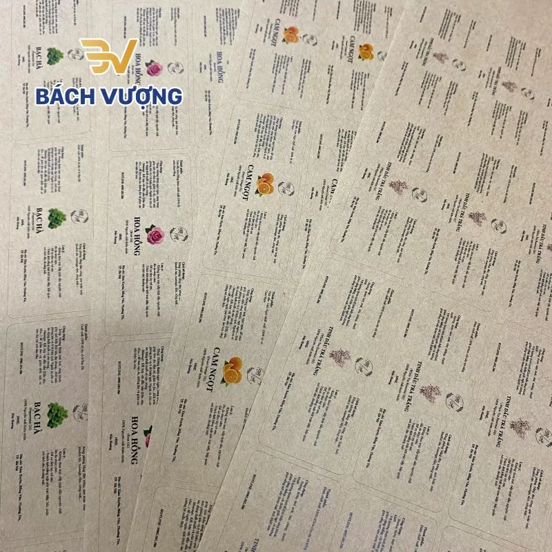 Kinh nghiệm chọn màu sắc in trên decal Kraft