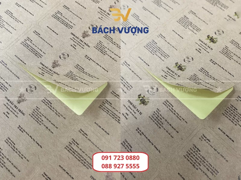 Cách phối màu tem decal giấy theo ngành hàng - Bách Vượng