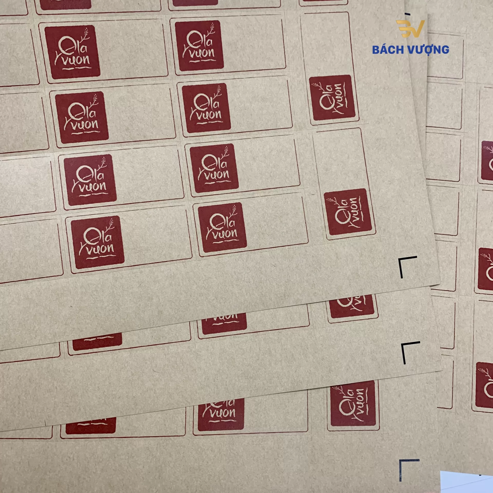in tem nhãn decal giấy kraft