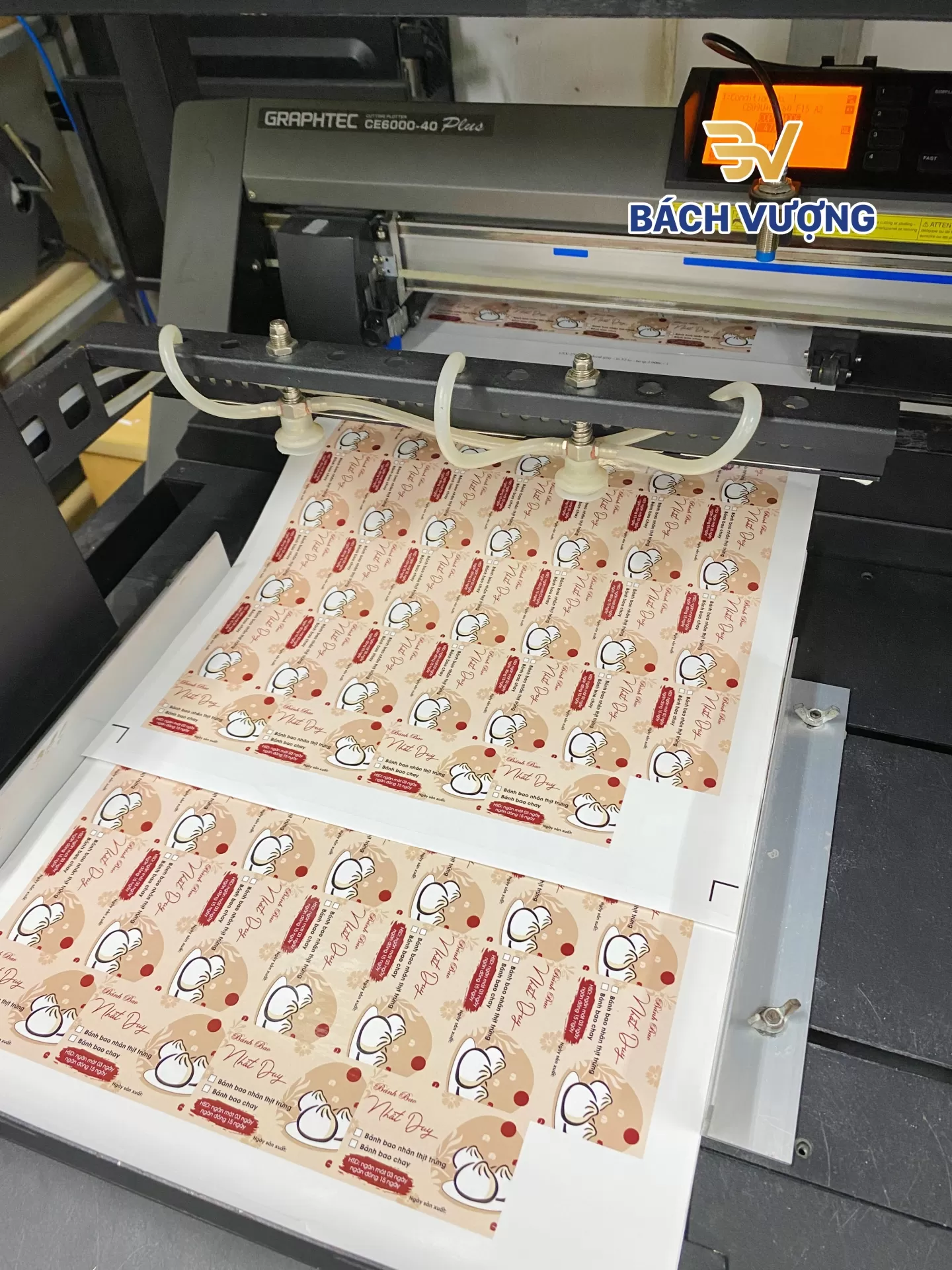 gia công tem nhãn decal giấy