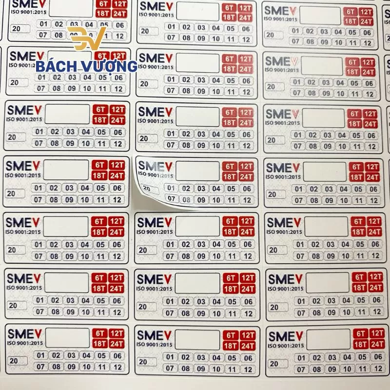 Mẫu tem bảo h&agrave;nh decal vỡ tại B&aacute;ch Vượng