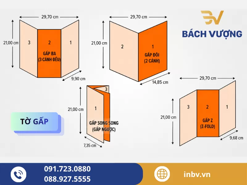 T&igrave;m hiểu về tờ gấp - B&aacute;ch Vượng