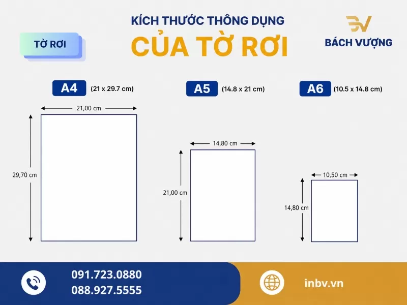 Ph&acirc;n biệt tờ rơi & tờ gấp - B&aacute;ch Vượng